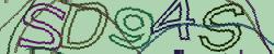 Retype the CAPTCHA code from the image