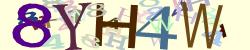 Retype the CAPTCHA code from the image