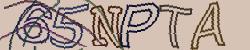 Retype the CAPTCHA code from the image