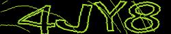 Retype the CAPTCHA code from the image