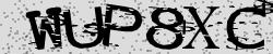 Retype the CAPTCHA code from the image