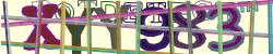 Retype the CAPTCHA code from the image
