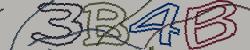 Retype the CAPTCHA code from the image