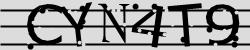 Retype the CAPTCHA code from the image