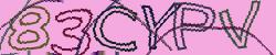 Retype the CAPTCHA code from the image