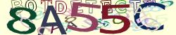 Retype the CAPTCHA code from the image