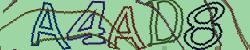Retype the CAPTCHA code from the image