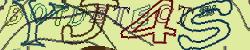 Retype the CAPTCHA code from the image