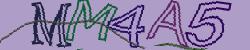 Retype the CAPTCHA code from the image