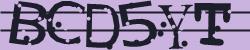 Retype the CAPTCHA code from the image