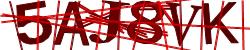 Retype the CAPTCHA code from the image