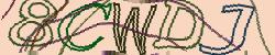 Retype the CAPTCHA code from the image