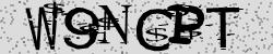Retype the CAPTCHA code from the image