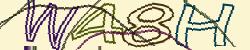 Retype the CAPTCHA code from the image