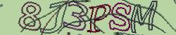 Retype the CAPTCHA code from the image