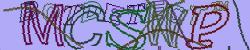 Retype the CAPTCHA code from the image