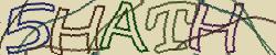 Retype the CAPTCHA code from the image