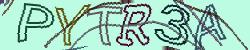 Retype the CAPTCHA code from the image
