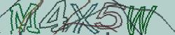 Retype the CAPTCHA code from the image