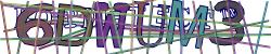 Retype the CAPTCHA code from the image