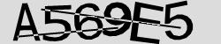Retype the CAPTCHA code from the image