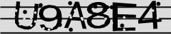 Retype the CAPTCHA code from the image