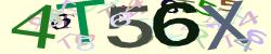 Retype the CAPTCHA code from the image