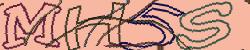 Retype the CAPTCHA code from the image