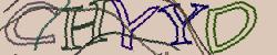 Retype the CAPTCHA code from the image
