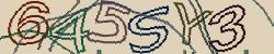 Retype the CAPTCHA code from the image