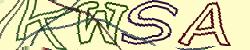 Retype the CAPTCHA code from the image